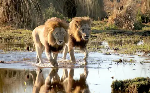 Pemandangan Botswana