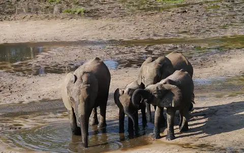 Pemandangan Republik Afrika Tengah