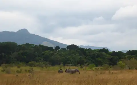 Pemandangan Gabon
