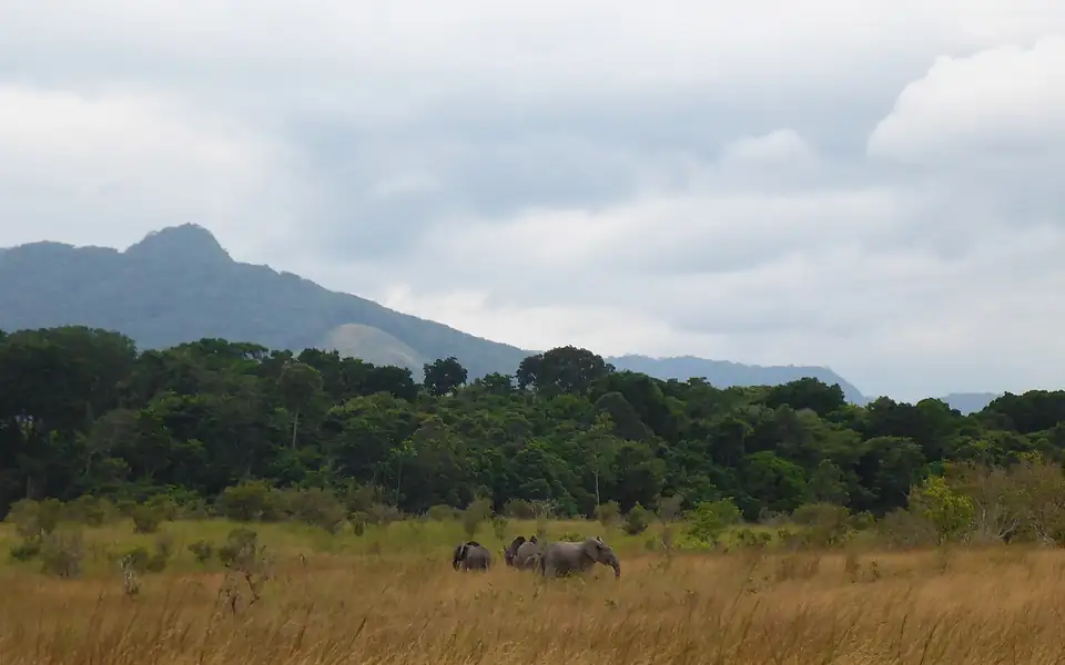 Pemandangan Gabon