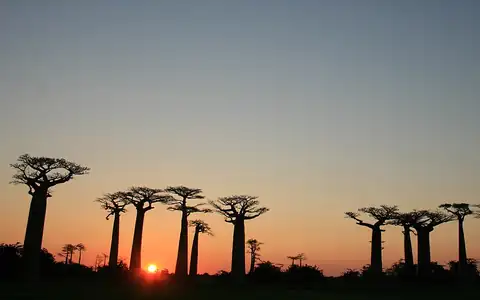 Pemandangan Madagaskar