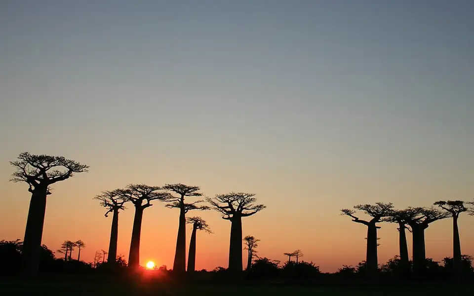 Pemandangan Madagaskar