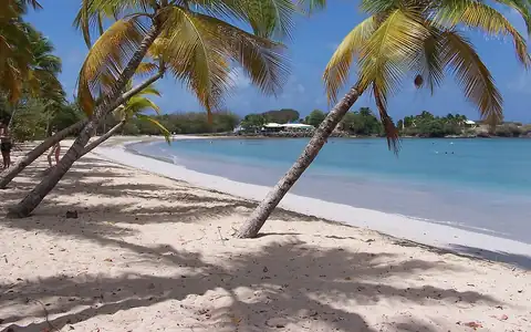 Pemandangan Martinik