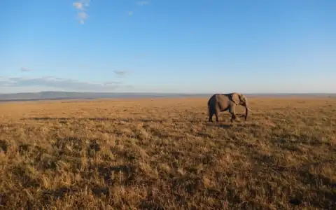 Afrika (21 area)